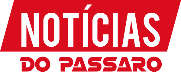 Noticias do Passaro