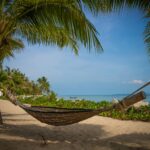 Para decidir entre cruzeiro ou resort para curtir a praia, considere seu estilo de viagem, orçamento e prioridades. Cruzeiros