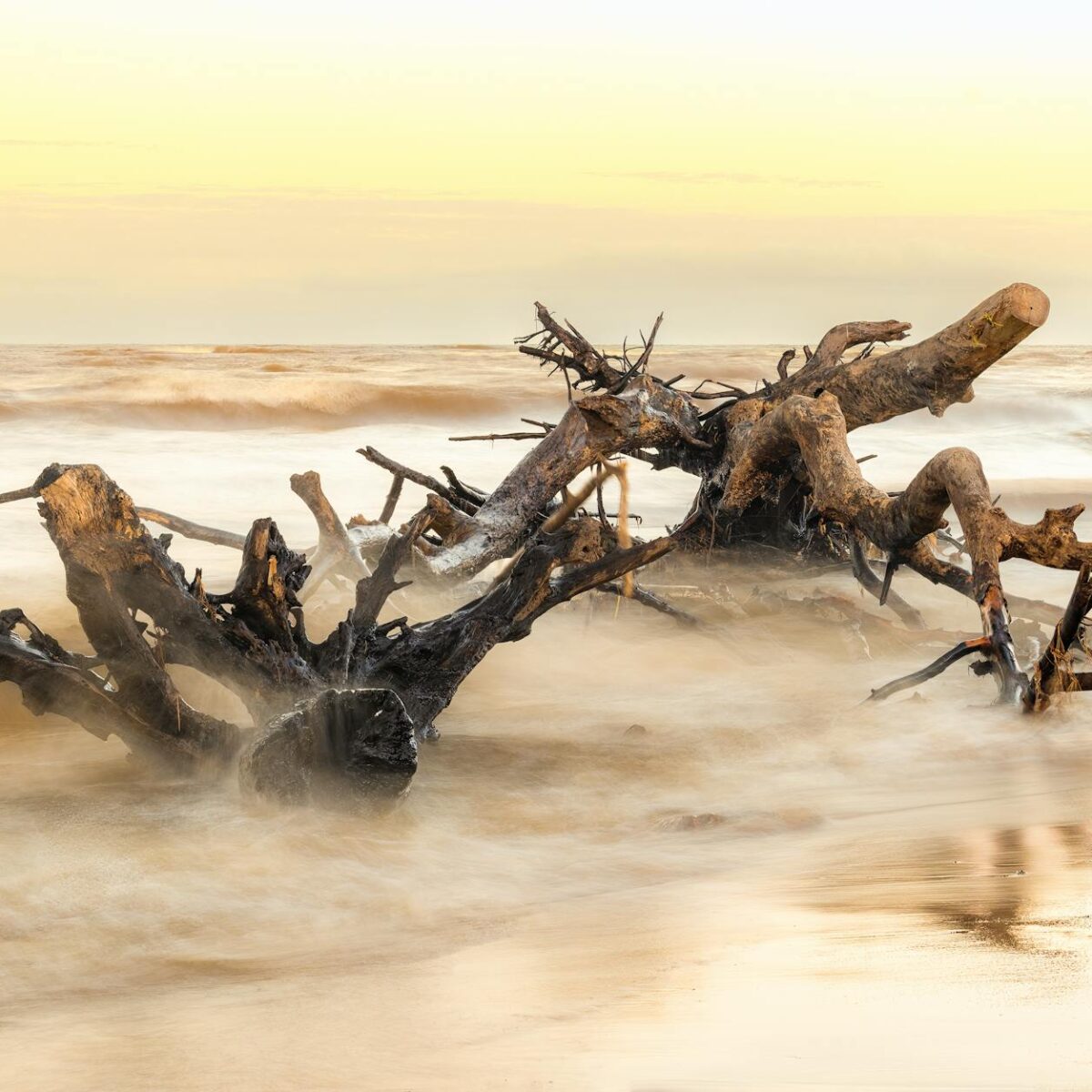 Para encontrar as melhores praias do Rio de Janeiro fugindo da Zona Sul, explore opções como Prainha, Grumari, Joatinga e a B