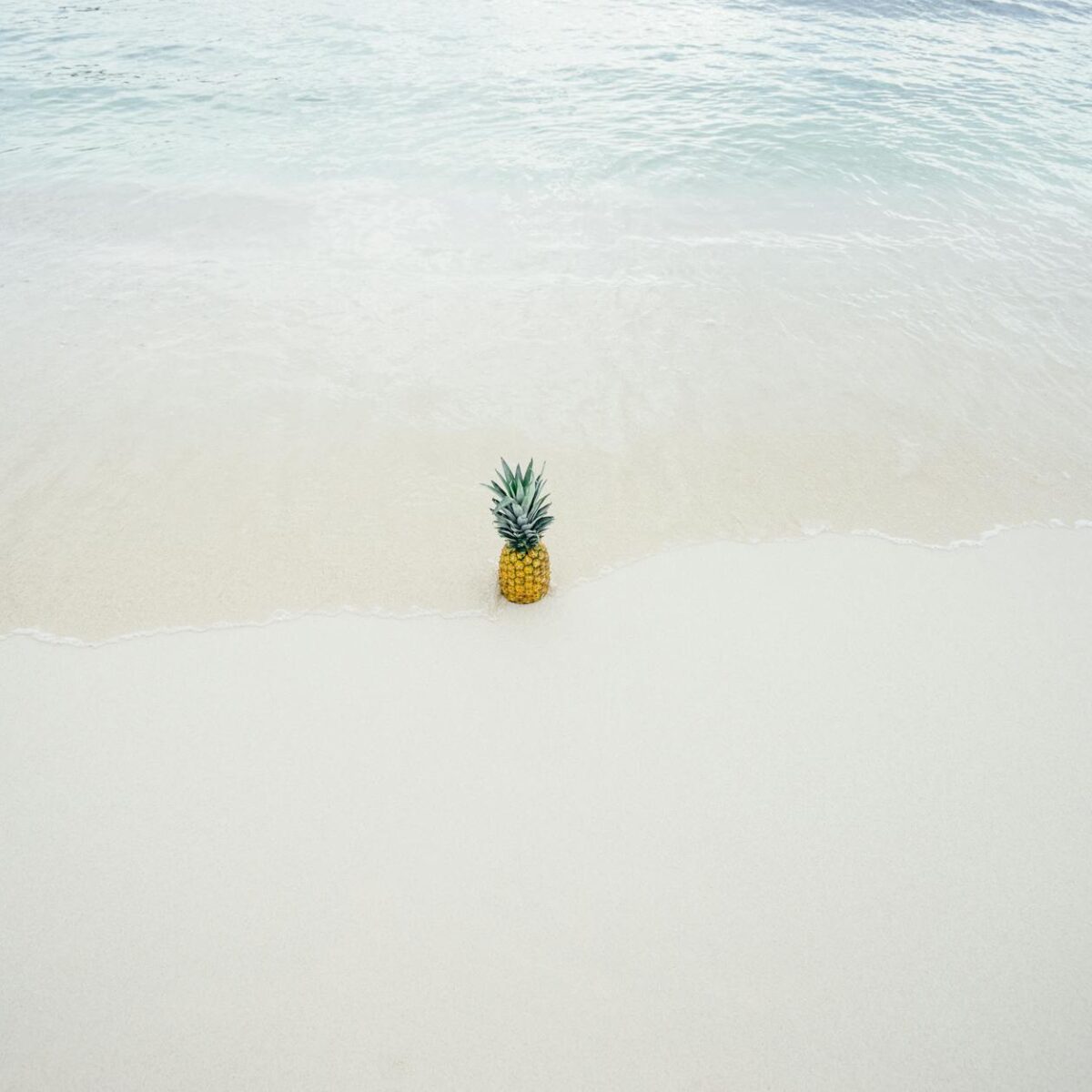 Para o que levar na bolsa de praia (itens essenciais de mão), priorize protetor solar, labial, chapéu, óculos de sol, canga/t