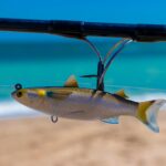 Para começar na pesca de praia, você precisa de equipamentos básicos como vara, molinete, linha, chumbadas e anzóis adequados