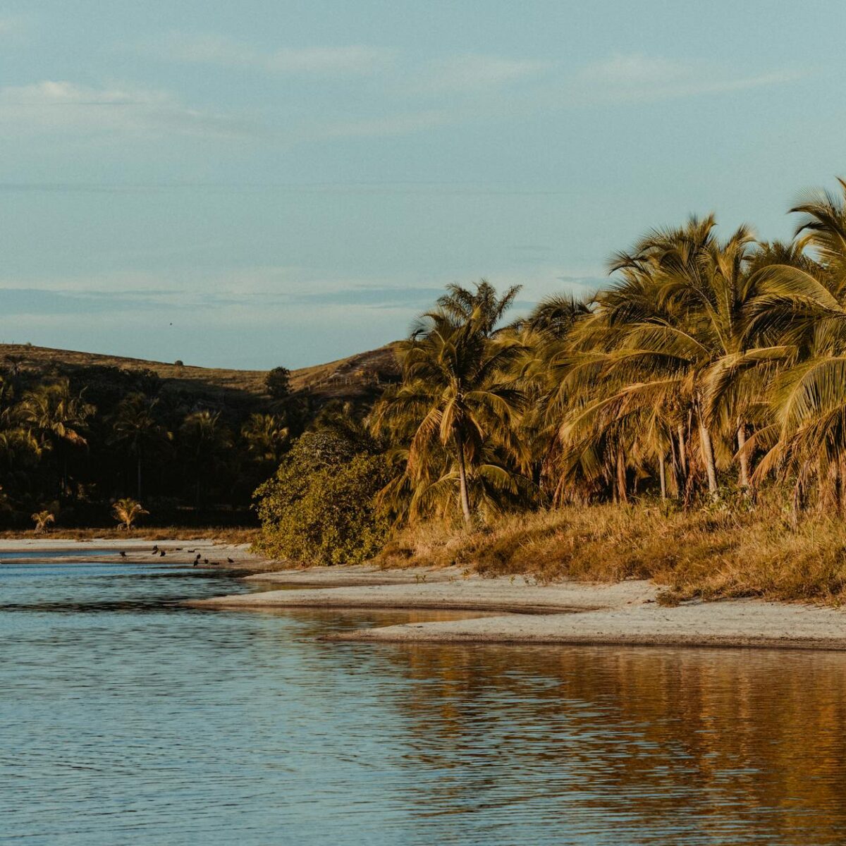 Para quem busca praias desertas na Bahia e anseia por sossego, destinos como Garapuá, Taipu de Fora, Algodões, Itacarezinho e