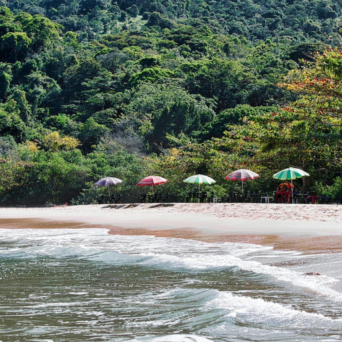Para encontrar praias escondidas no Litoral Norte de SP e seus refúgios secretos, você deve explorar locais como a Praia do C