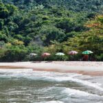 Para encontrar praias escondidas no Litoral Norte de SP e seus refúgios secretos, você deve explorar locais como a Praia do C