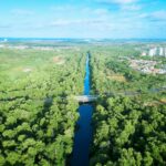 Como Saber se Sua Empresa Precisa de Licenciamento Ambiental