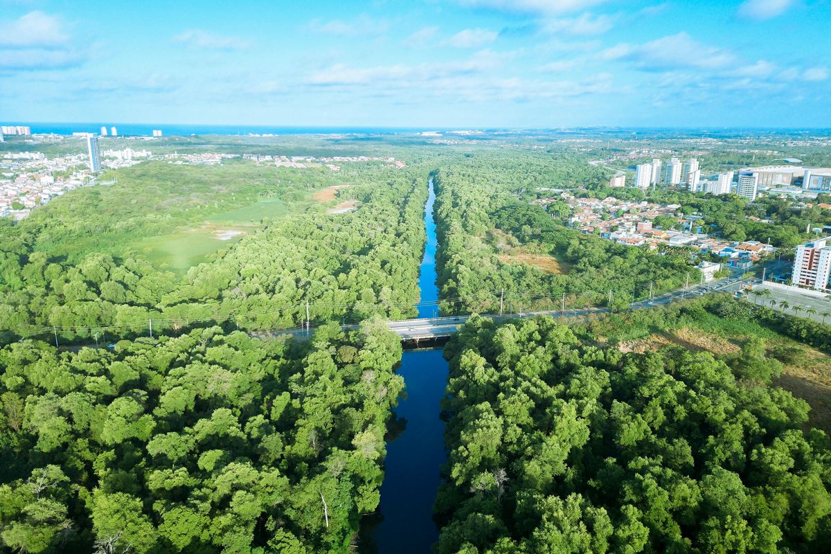 Como Saber se Sua Empresa Precisa de Licenciamento Ambiental
