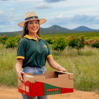 O uso de fertilizantes foliares em fases críticas do ciclo produtivo