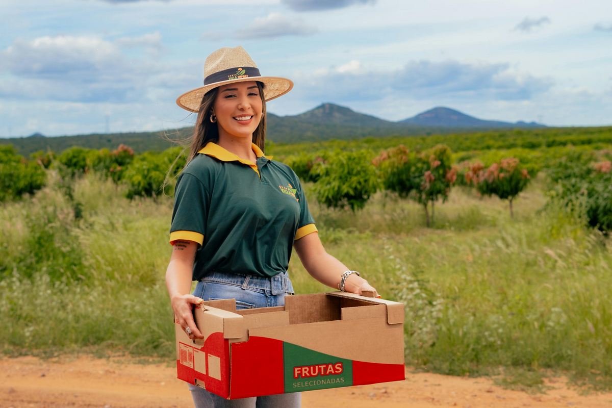 O uso de fertilizantes foliares em fases críticas do ciclo produtivo