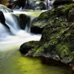 Água do rio Doce